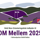 DM mellem 2025